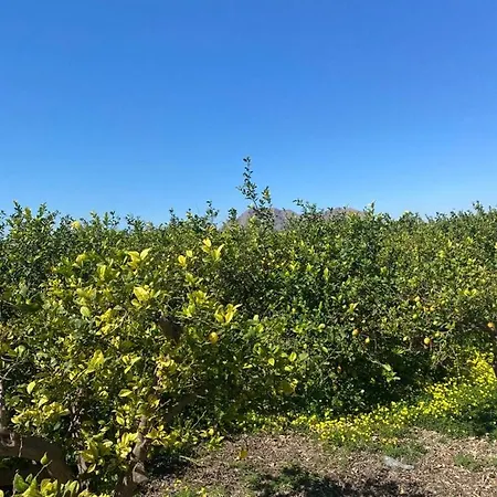 شقة Almuden's Yellow Apartment, High-speed Free Wifi, 250m To Beach, The Center Of